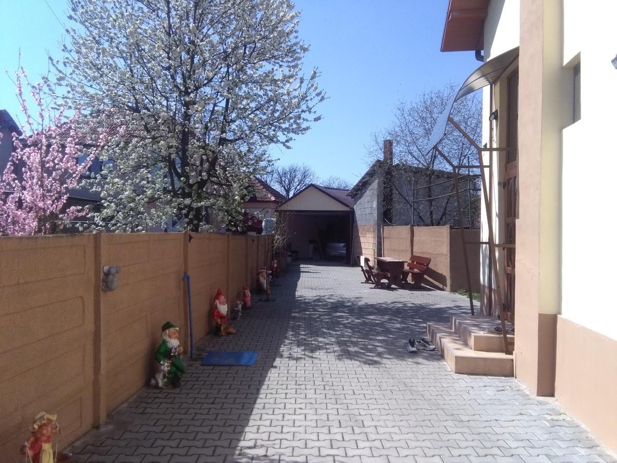 Hotel Casa Ovi Si Simo Haţeg Exterior foto