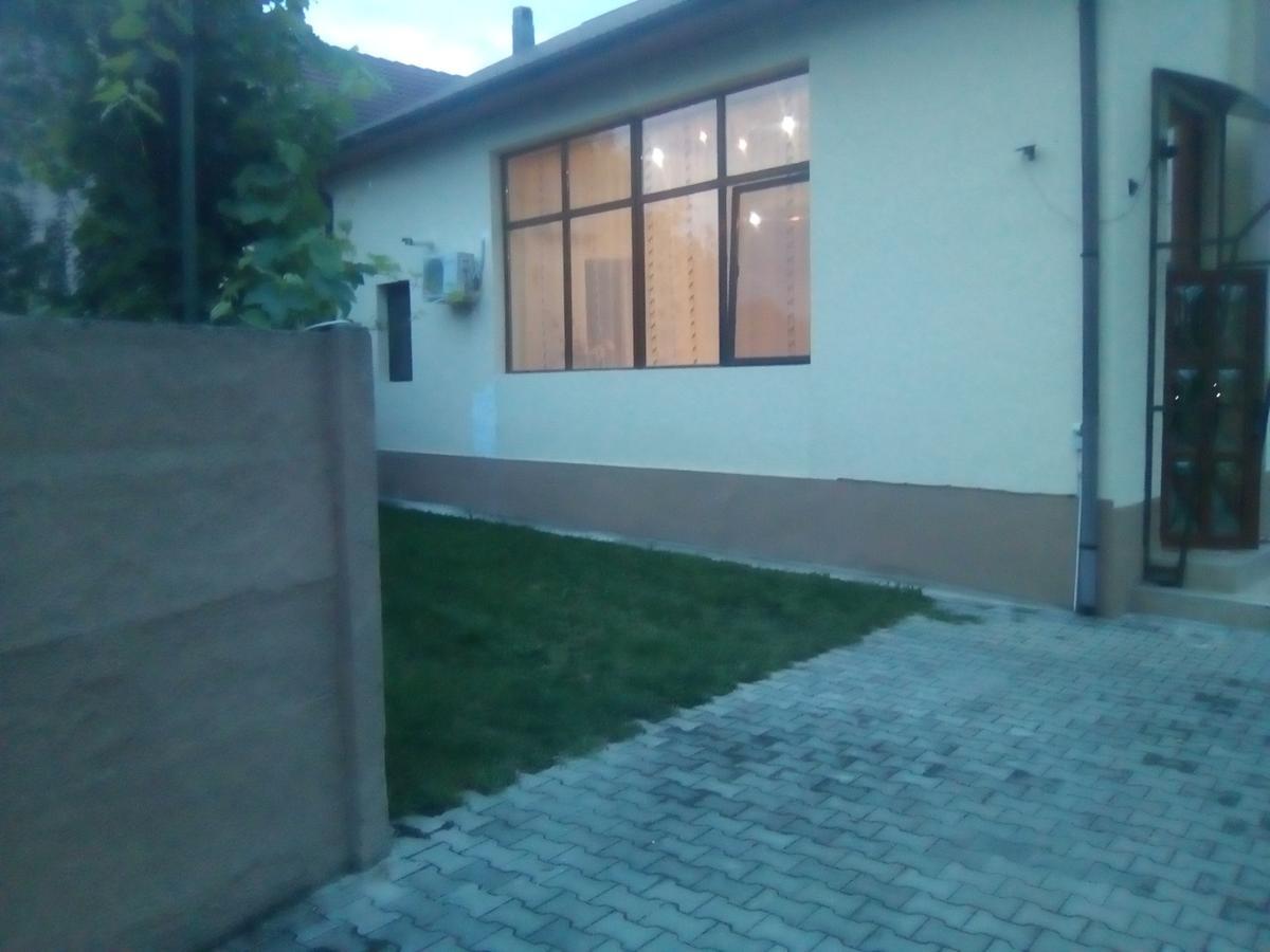 Hotel Casa Ovi Si Simo Haţeg Exterior foto